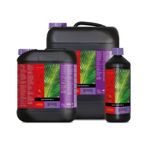 Atami B-Cuzz Coco A+B 2 X 5 L