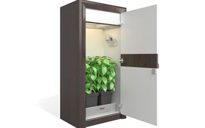 Gojitveni šotor – “growbox”