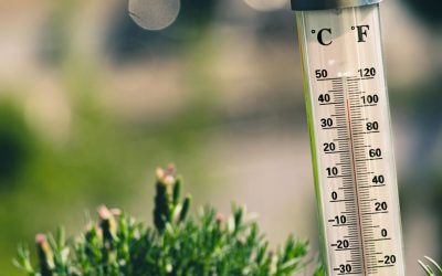 Pomen temperature