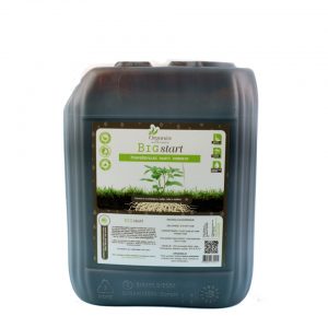 Organics Nutrients Big Start 5 L