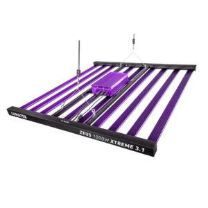 Lumatek Zeus 1000 W Xtreme 3.1